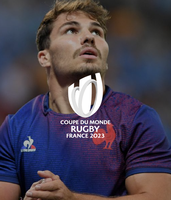 Illustration du projet Coupe du Monde de Rugby